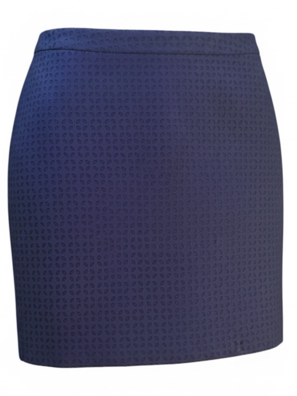 Banana Republic Plum Textured Skirt Size 10